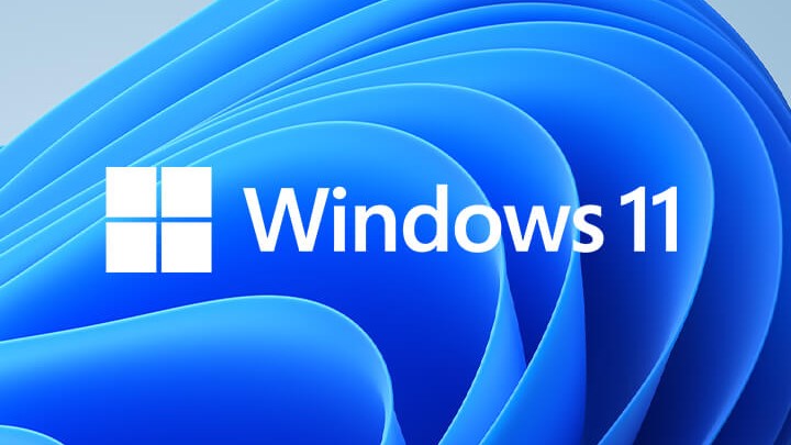 windows 11 logo